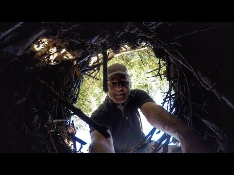 What's inside a Beaver Home? - UCSrPuHtKbst7Zy8pyWn_3Cg