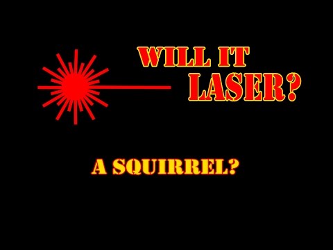 WILL IT LASER: A Squirrel??? - UCjgpFI5dU-D1-kh9H1muoxQ