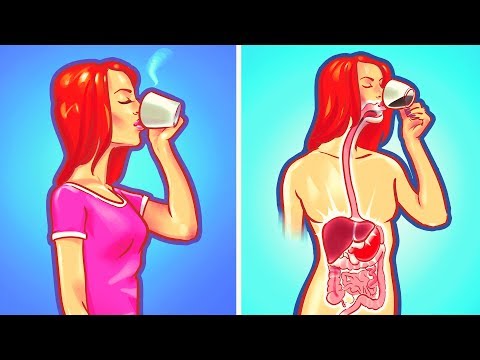 9 Things You Shouldn't Do on an Empty Stomach - UC4rlAVgAK0SGk-yTfe48Qpw