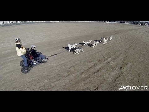 Phantom 2 with Zenmuse Gimbal - Happy Tails Dog Sled Team - UCkSdcbA1b09F-fo7rfysD_Q