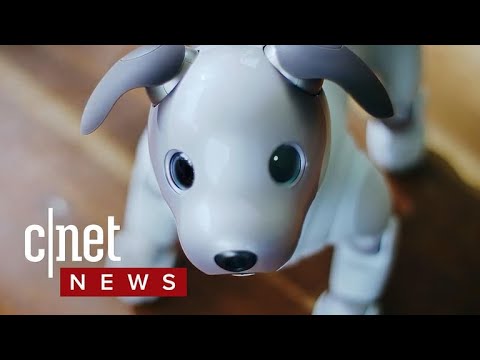 Sony Aibo robot dog returns with advanced AI (CNET News) - UCOmcA3f_RrH6b9NmcNa4tdg