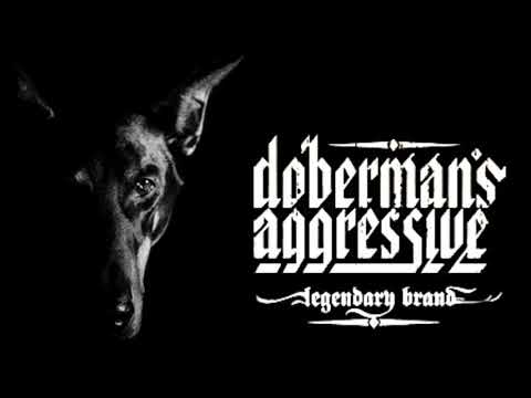DobermanMix   Durcheinander 8