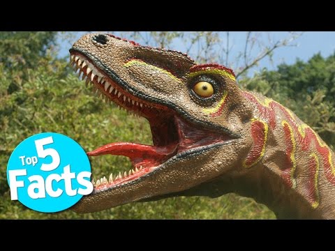 Top 5 Disgusting Dinosaur Facts - UCaWd5_7JhbQBe4dknZhsHJg