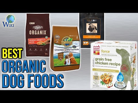 10 Best Organic Dog Foods 2017 - UCXAHpX2xDhmjqtA-ANgsGmw