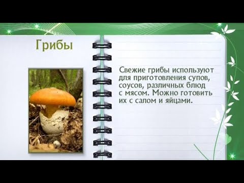 Кулинарная энциклопедия - Грибы - UC7XBjhXnmmXFsxmnys9PmDQ