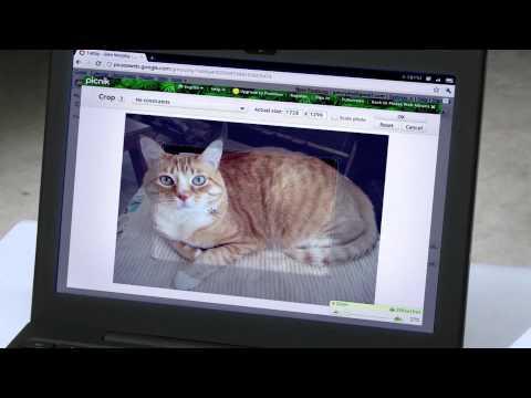 How to remain calm, despite what's about to happen to your Chrome notebook - UCL8ZULXASCc1I_oaOT0NaOQ