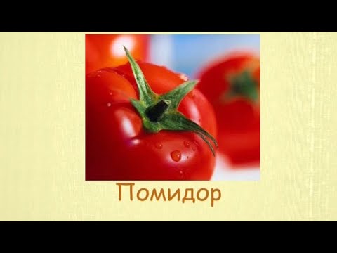 Кулинарная энциклопедия - Помидор - UC7XBjhXnmmXFsxmnys9PmDQ