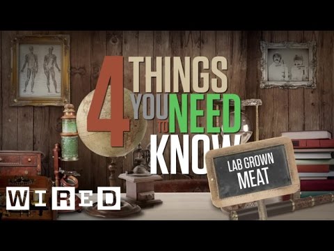 4 Things You Need To Know About Lab Grown Meat | WIRED - UCftwRNsjfRo08xYE31tkiyw