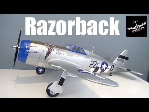 E-flite P-47 Razorback 1.2m | Unbox and Quick Assembly - UCKqpeIILaupg-SvrIstn-yA