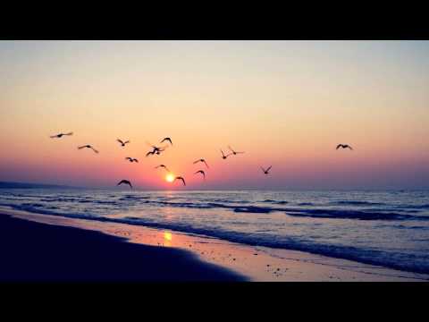 The Thrillseekers - Synaesthesia (Chris Metcalfe Rework) FSOE 335 - UCnamZmispWTKbucMof4S3nw