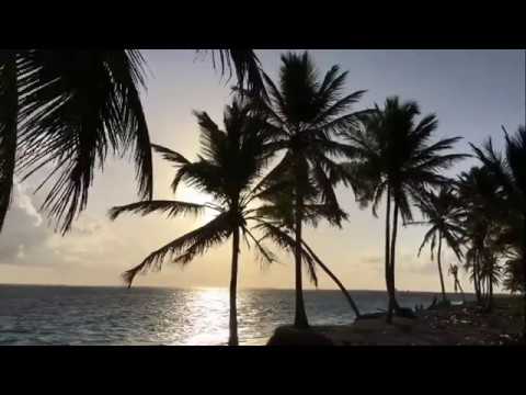 Chris Rea - Sweet Summer Day
