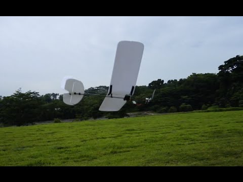 HiSKY HFW400 3-Channel Micro Flyer RTF - Quick Look & Test Flight #1 - UCWgbhB7NaamgkTRSqmN3cnw