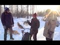 Winter husky sled dog riding in Novosibirsk park