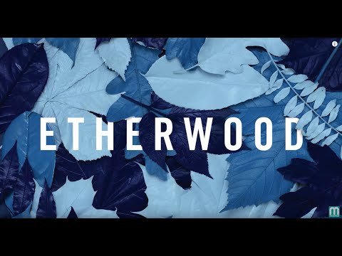 Etherwood - Cast Away - UCNyo1qwT4ZKuoWsyrrdoc6g