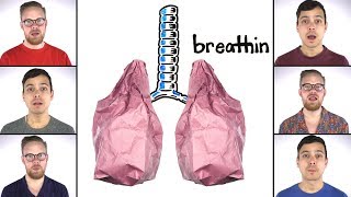 Breathin - Ariana Grande SCIENCE Acapella | SCIENCE SONGS
