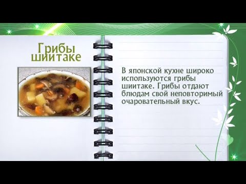 Кулинарная энциклопедия - Грибы шиитаке - UC7XBjhXnmmXFsxmnys9PmDQ