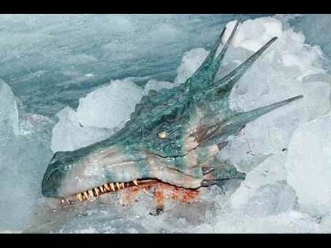 Animals Humans Once Believe The Existed - UCTTQAOiR_0DuyQPZ6Dg-LHA