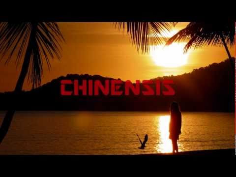 Chinensis- Sundown (Uplifting Drum & Bass) - UCWqte6LvFMt6FTjK0iI-p2w