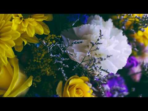 AK - Violets & Roses - UCTPjZ7UC8NgcZI8UKzb3rLw