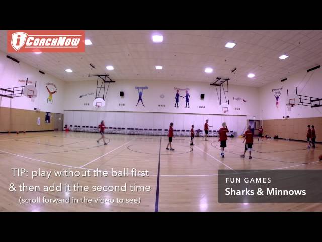 Sharks and Minnows: The Battle for Basketball Supremacy
