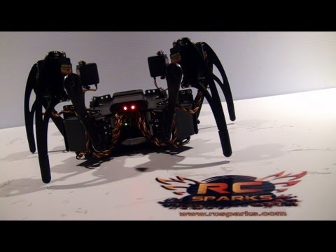 RC Spider nightmares are made of these.. - UCxcjVHL-2o3D6Q9esu05a1Q