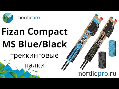 Треккинговые палки Fizan Compact MS Black