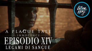 A Plague Tale Innocence 4k Performance Test 9900k Rtx - innocence roblox