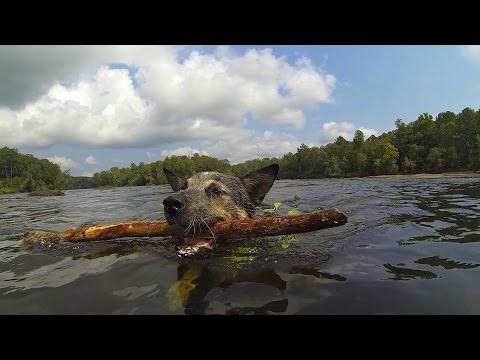 GoPro: River Bassin' with Drew and Lu - UCqhnX4jA0A5paNd1v-zEysw