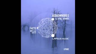 Audiowhores - Facts Feat. Stee Downes (Noir´s Raw Club Cut)