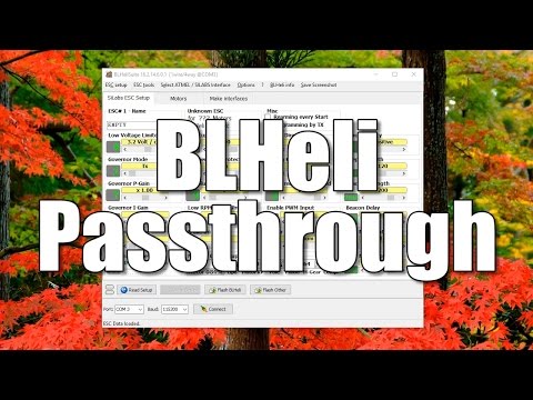 How To Use BLHeli Passthrough to Program BLHeli ESCs - UCX3eufnI7A2I7IkKHZn8KSQ