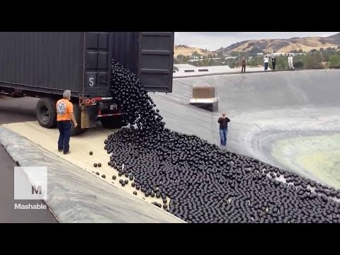 LA throws 96 million 'shade balls' at its water shortage — and it's mesmerizing | Mashable - UCL8Nxsa1LB9DrMTHtt3IKiw