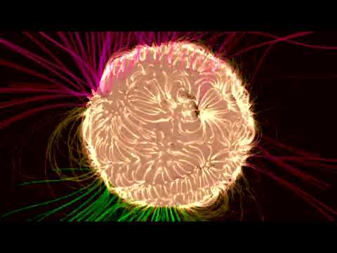 Sun's Magnetic Forces Shut Down Possible Eruption - UCVTomc35agH1SM6kCKzwW_g