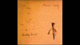 Notes - Meric Long (The Dodos)