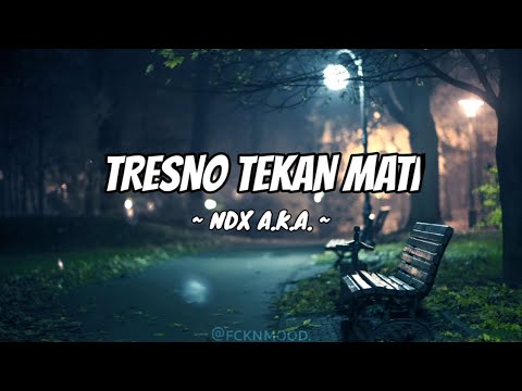 TRESNO TEKAN MATI - NDX A.K.A. LYRICS ( SLOWED & REVERB )
