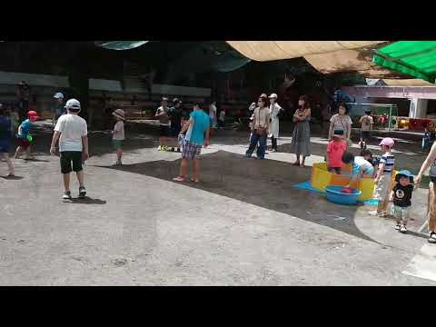 夏休み『園庭開放』の様子