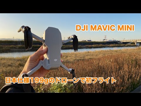 DJI MAVIC MINI 日本仕様199gのドローンで初フライト #403 [2.7K]