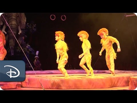 Tumble Monkeys at ‘Festival of the Lion King’ | Walt Disney World - UC1xwwLwm6WSMbUn_Tp597hQ