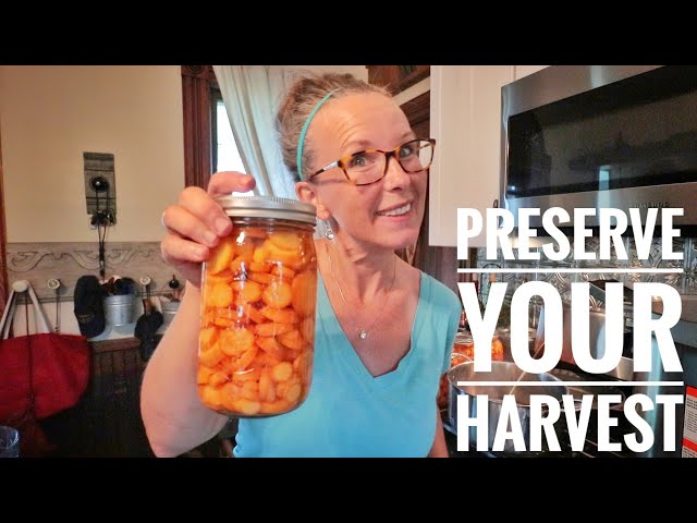 How to Preserve Carrots?