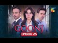 Goonj - Episode 25 [CC] - 9th Jan 2026 [ Komal Meer, Mirza Gohar Rasheed & Feroz Kadri ] - HUM TV