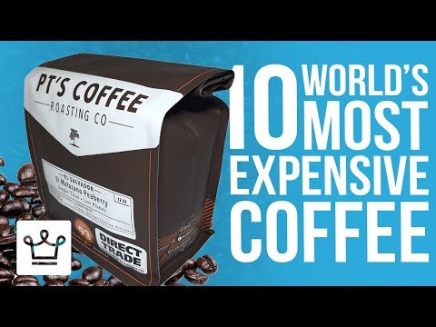 Top 10 Most Expensive Coffee In The World - UCNjPtOCvMrKY5eLwr_-7eUg