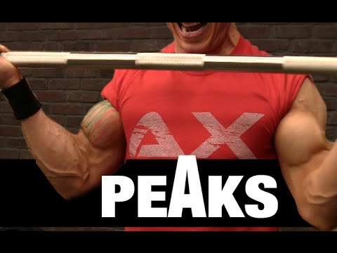 Biceps Peaks - 5 Best Ways to Build Them! (BOULDERS) - UCe0TLA0EsQbE-MjuHXevj2A