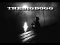 MV เพลง Dregs Of Society (ขยะสังคม) - THEBIGDOGG