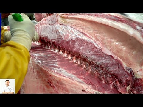 Filleting A 200# Bluefin Tuna For Toro | How To Grade Tuna | How To Farm Tuna - UCbULqc7U1mCHiVSCIkwEpxw