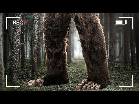 FINDING BIGFOOT 2.0!! (Finding Bigfoot Game) - UC2wKfjlioOCLP4xQMOWNcgg