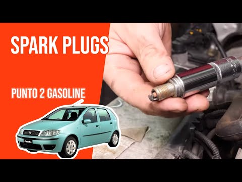 Kit 4 Candele BOSCH Per Fiat Punto 1.2 8V, Panda 1.1, Seicento Natural Power - 0242235666