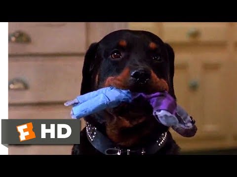 The People Under the Stairs (1991) - A Dog and a Roach Scene (5/10) | Movieclips - UC3gNmTGu-TTbFPpfSs5kNkg