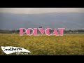 MV เพลง เวลาเธอยิ้ม (you had me at hello) - Polycat