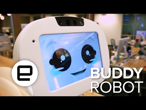 Buddy the Companion Robot - UC-6OW5aJYBFM33zXQlBKPNA