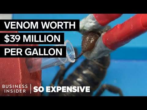 Why Scorpion Venom Is So Expensive - UCcyq283he07B7_KUX07mmtA