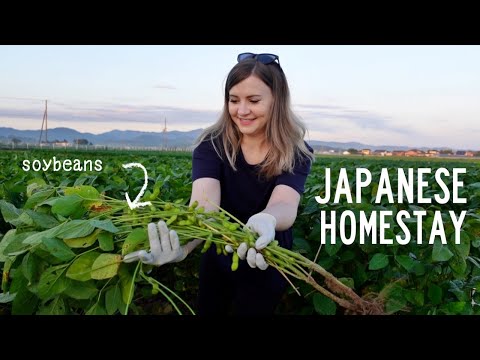My Japanese Farm Homestay Experience πΎ